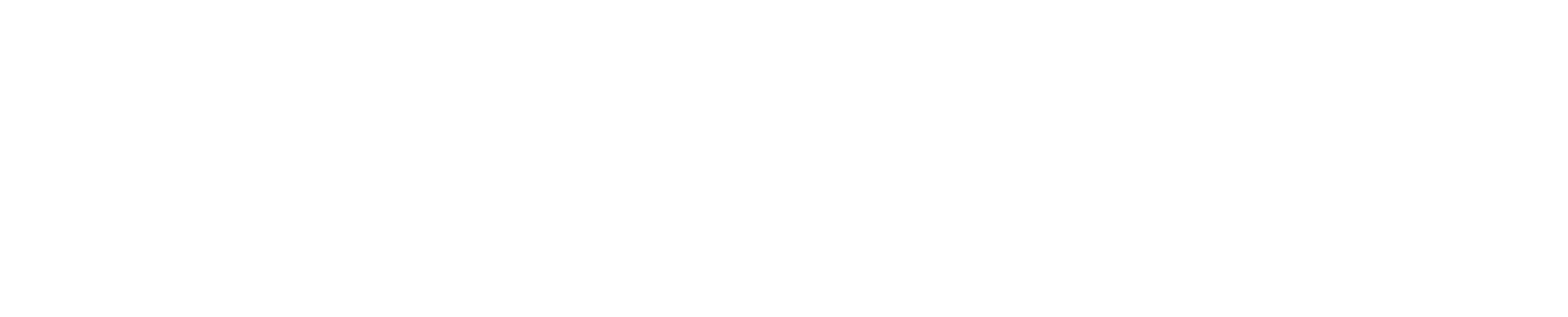 ERPExpert white